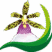 ECUADORQUIDEAS