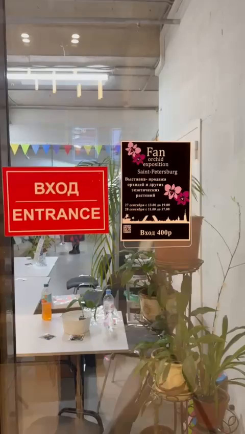 Fan Orchid Exposition — detalles de exhibición