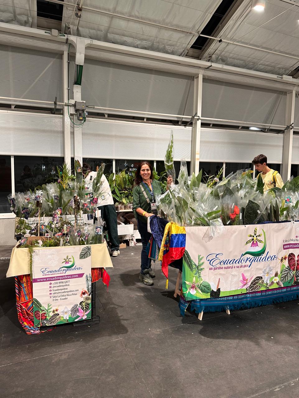 Festa del Cactus 2025 — momentos del evento