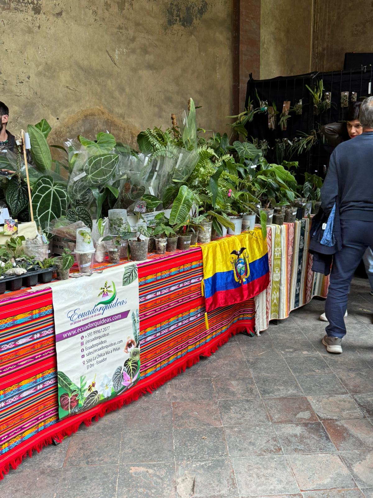 OrchiBo 2025 — stand y visitas